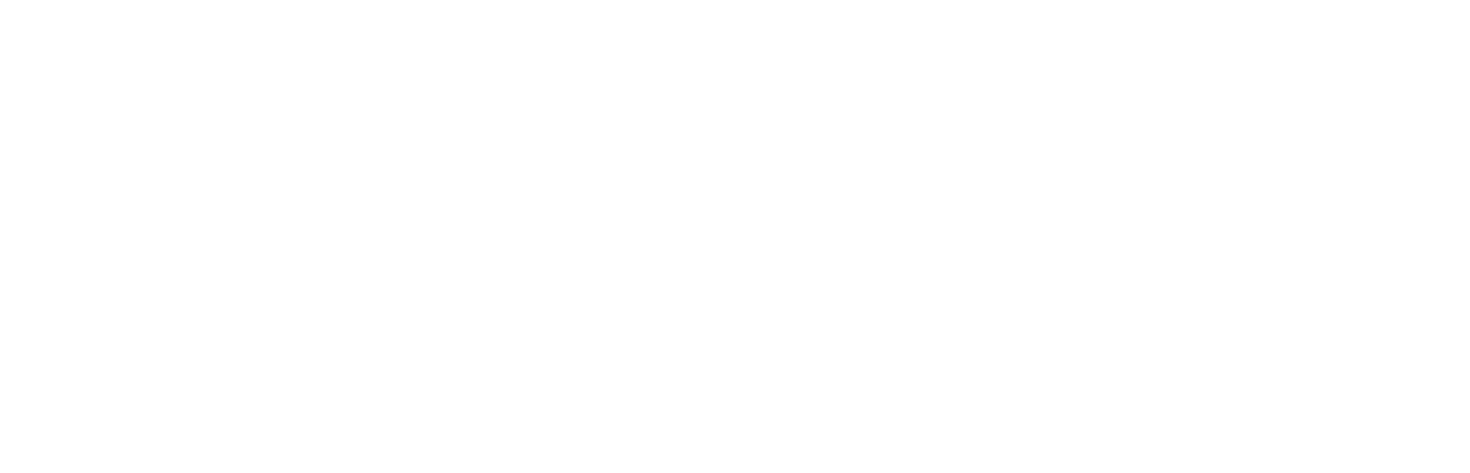 Provider logo: Visa